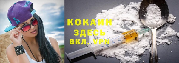 гидра Алексин