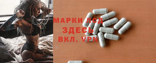 гидра Алексин