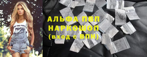 гидра Алексин